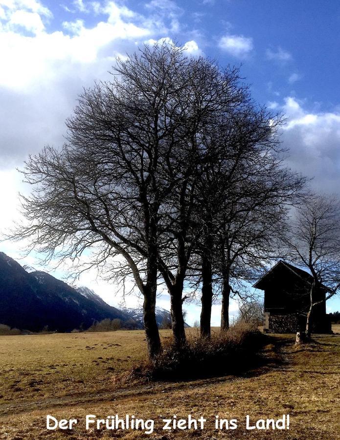 Appartements HAUS WILHELMER in Osttirol Sillian Exterior foto